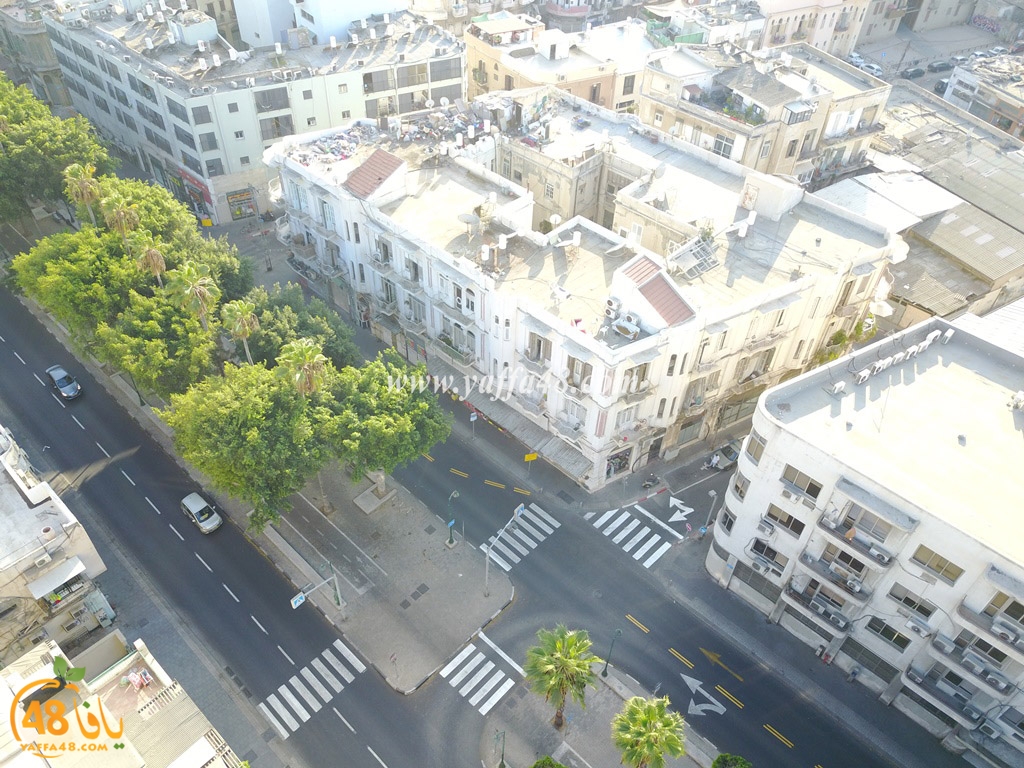 jamal basha tsterre (45).JPG